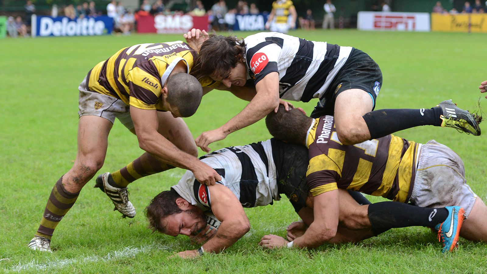 BELGRANO ES EL TAPADO