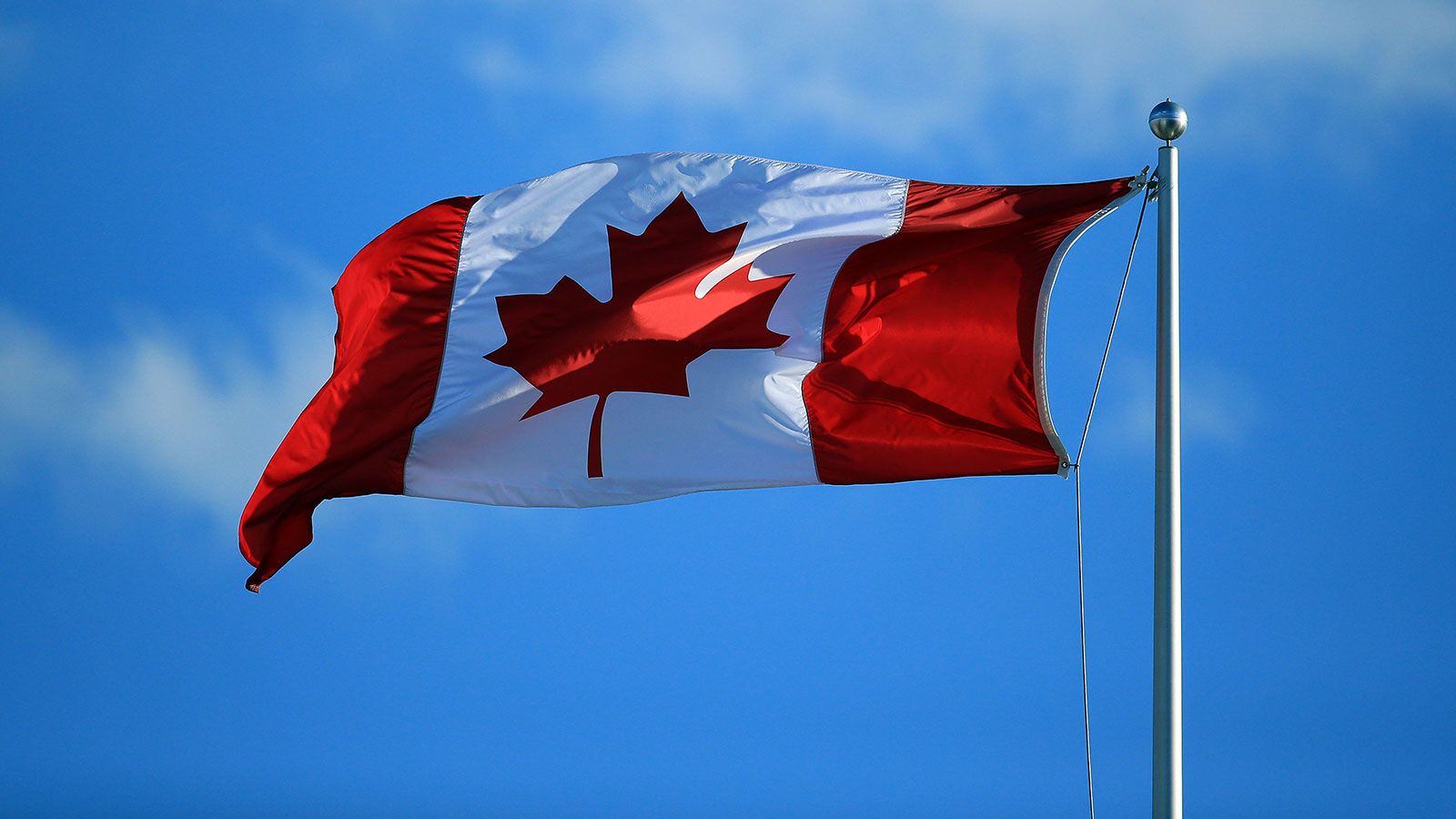 El color de la semana