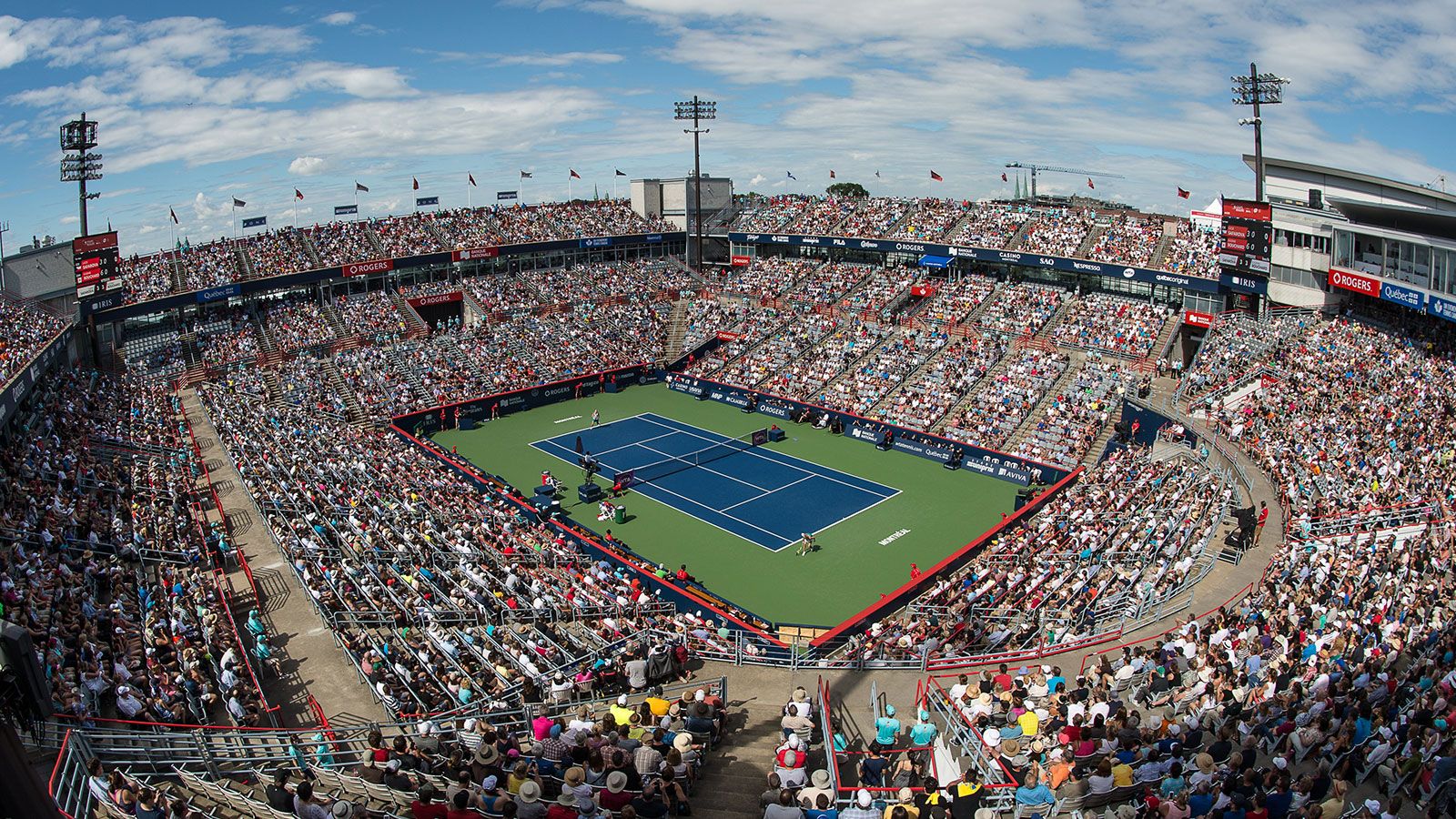 El color de la semana