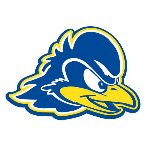 Image result for delaware blue hens