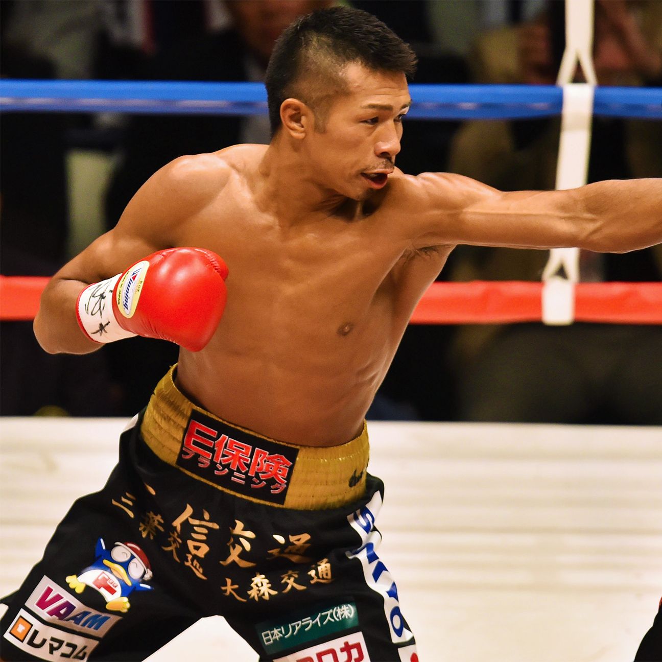 divisionbydivision rankings junior lightweight