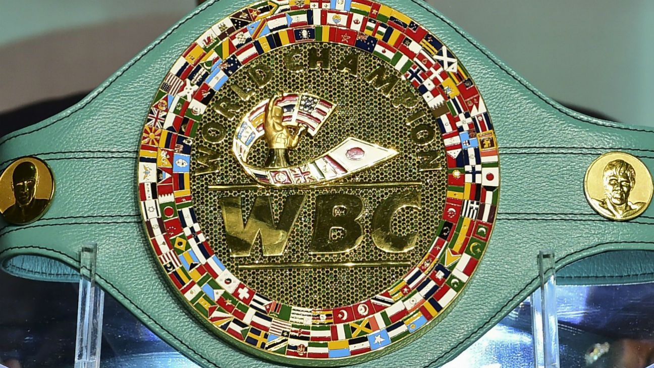 WBC unveils multimillion dollar diamondencrusted belt for Floyd