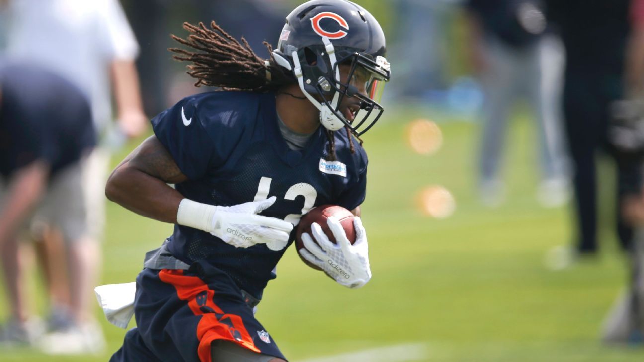 Bears shut down rookie WR White for season