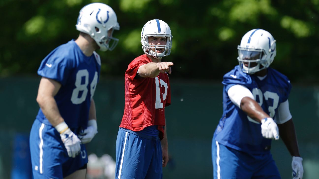 Could the Colts release Dwayne Allen and pursue Martellus Bennett? - ESPN (blog)