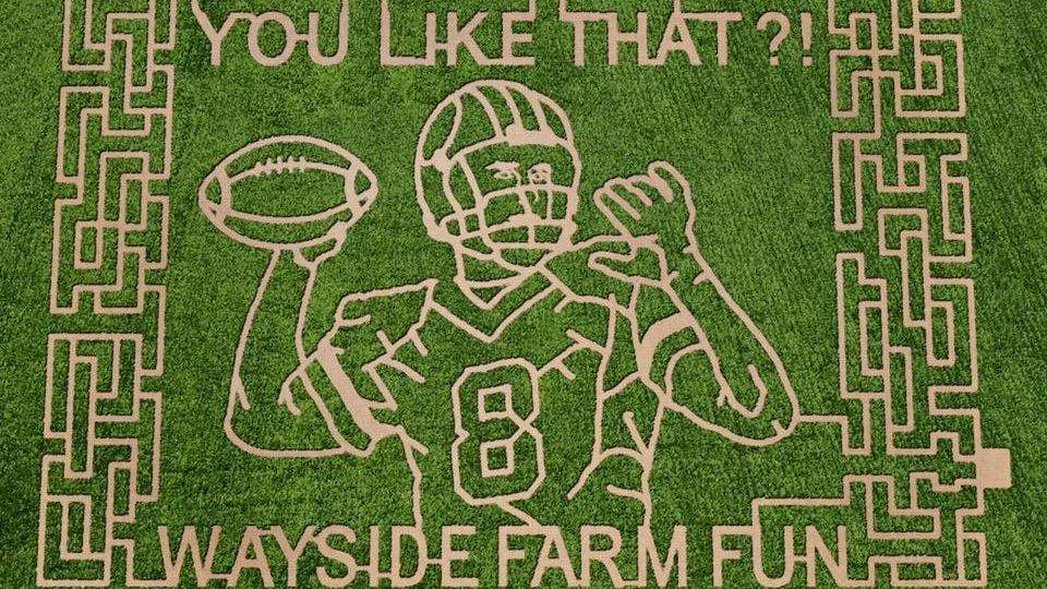 'You like that?!' QB's catchphrase becomes corn maze