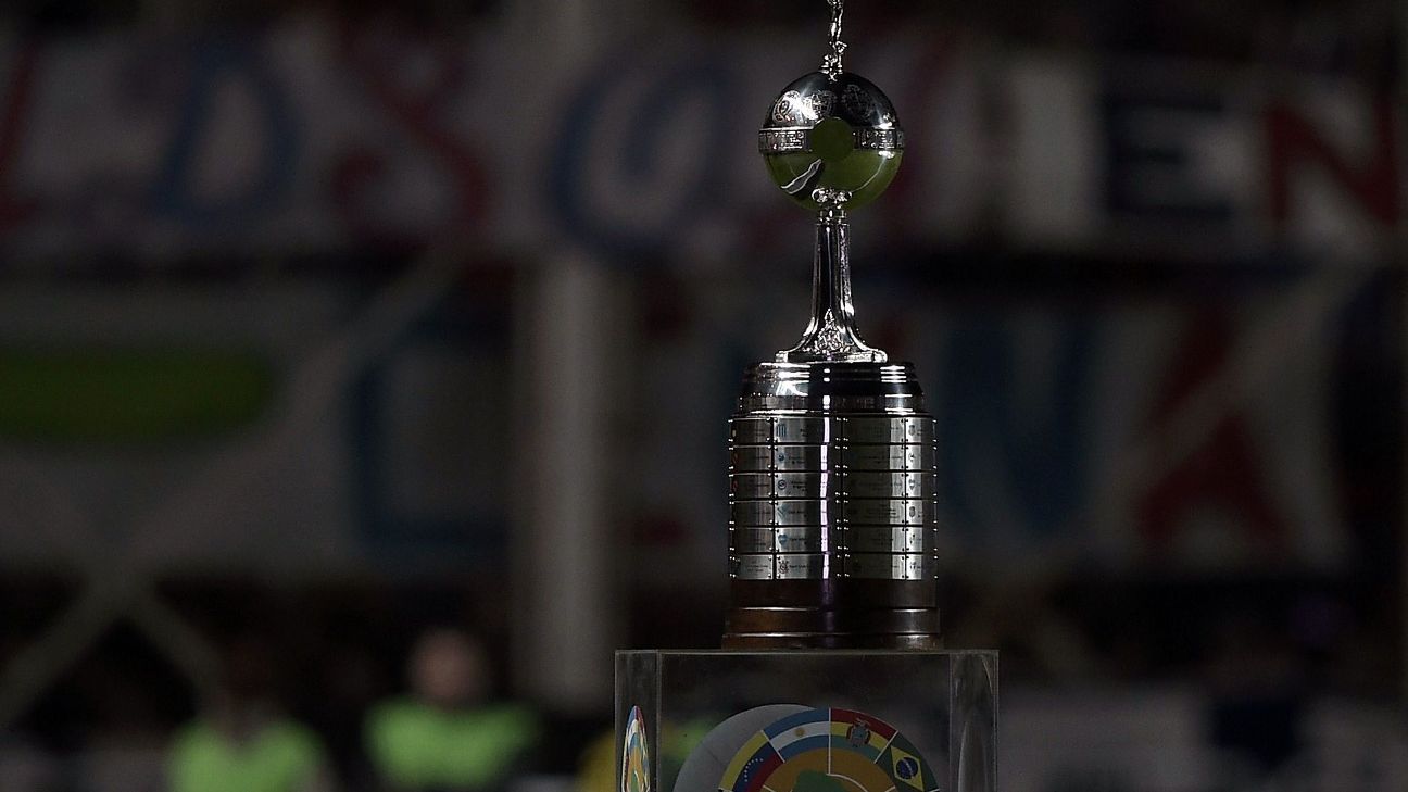 Equipos argentinos y Copa Libertadores no realizaron 