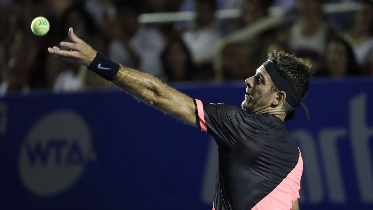 Del Potro busca la final en Acapulco