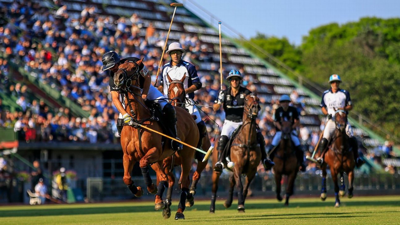 LA DOLFINA 16 - 13 ELLERSTINA