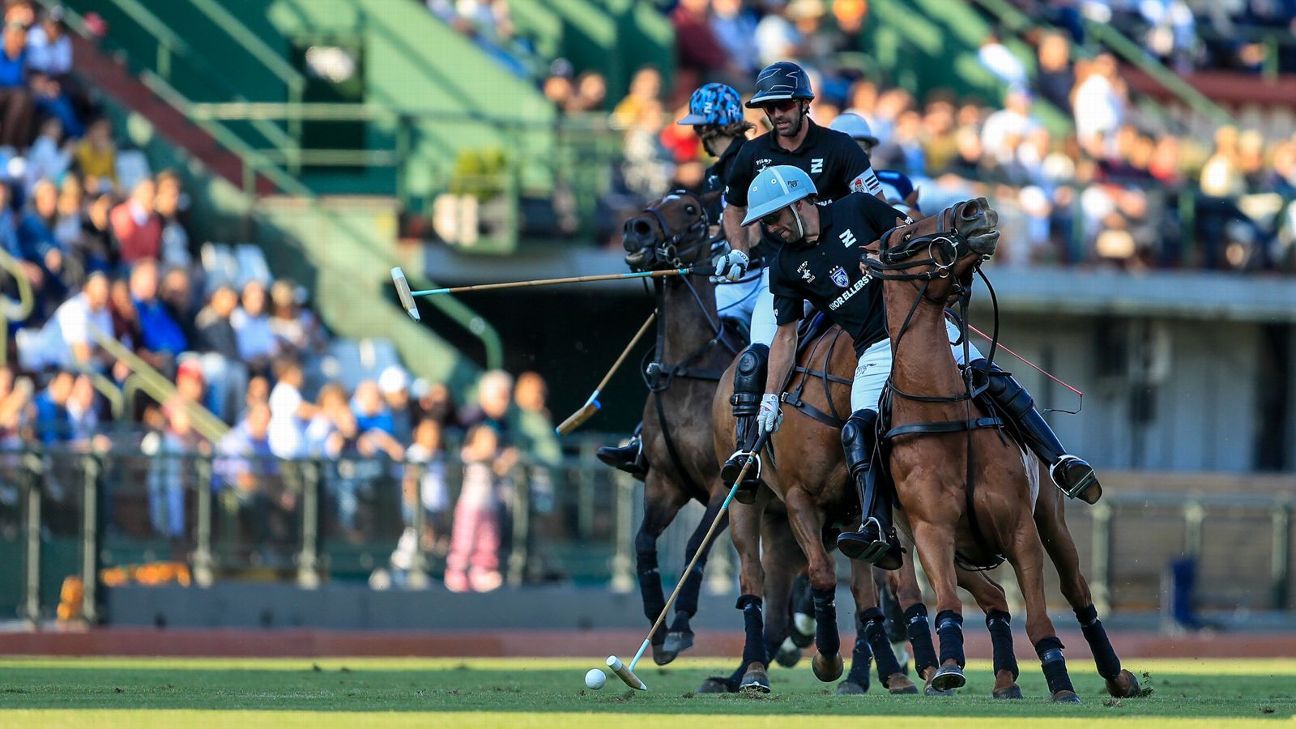 LA DOLFINA 16 - 13 ELLERSTINA