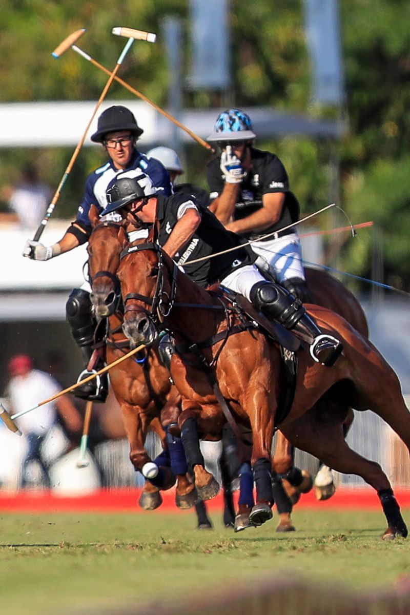 LA DOLFINA 16 - 13 ELLERSTINA