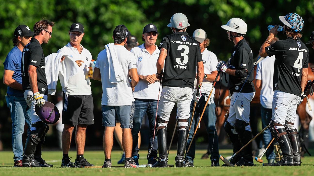 ELLERSTINA 12  11 LA DOLFINA