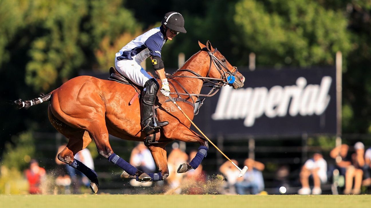 ELLERSTINA 12  11 LA DOLFINA