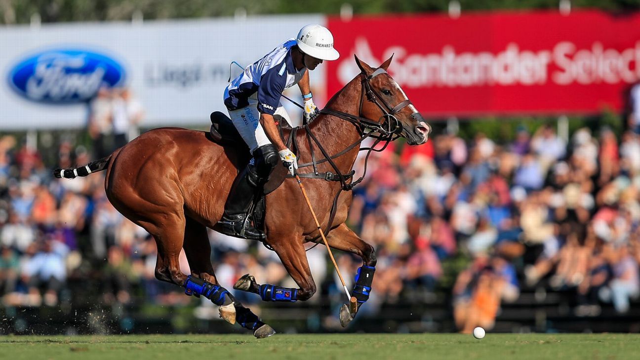 ELLERSTINA 12  11 LA DOLFINA