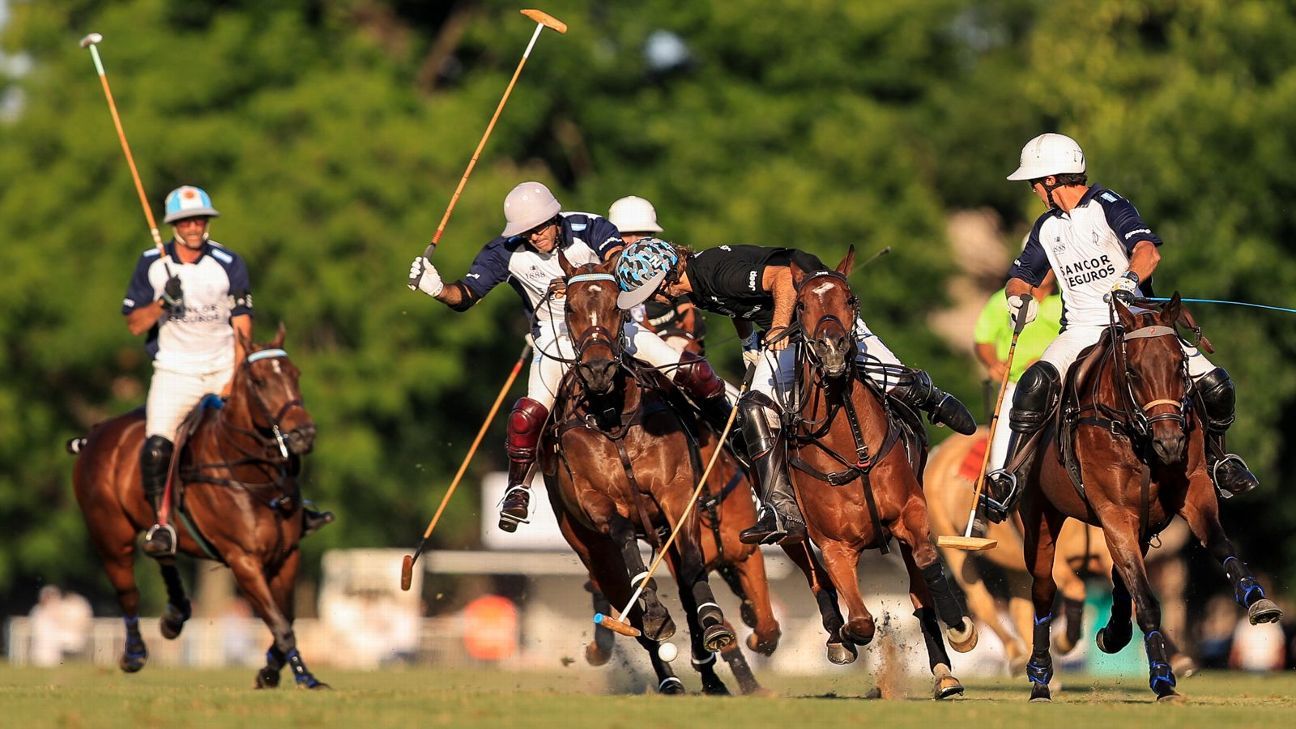 ELLERSTINA 12  11 LA DOLFINA