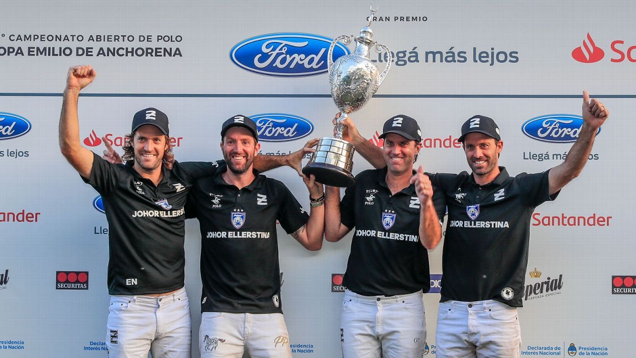 ELLERSTINA 12  11 LA DOLFINA