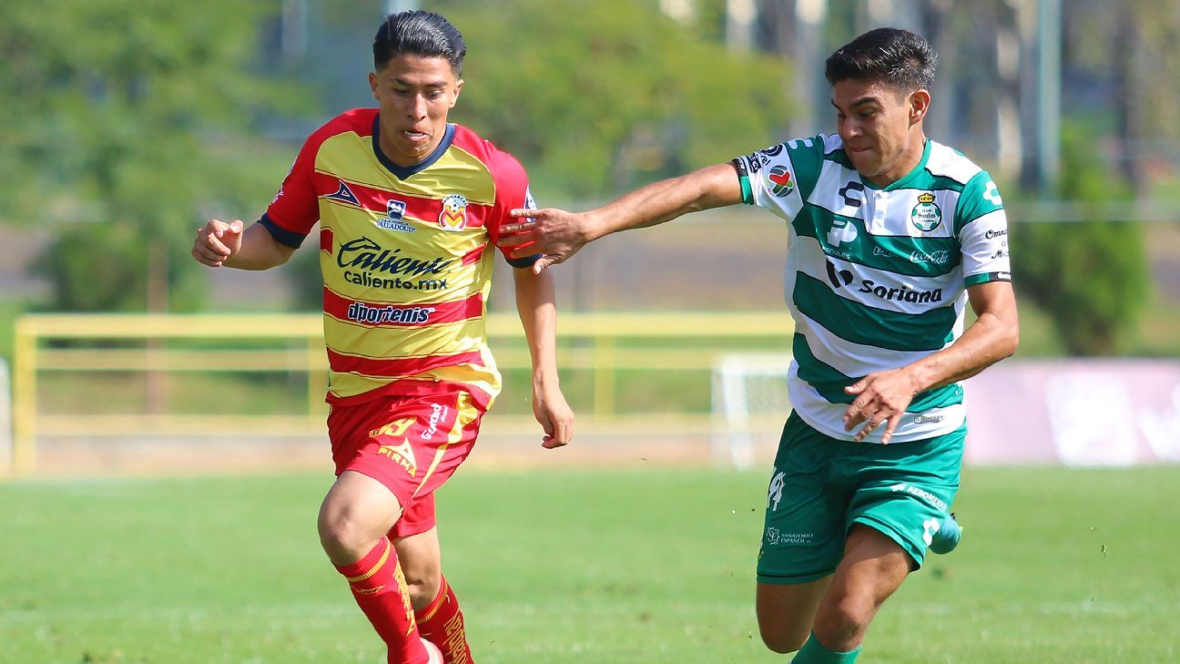 Santos y Morelia, únicos equipos en clasificar a liguilla de la Primera División, Sub-20 y Sub-17