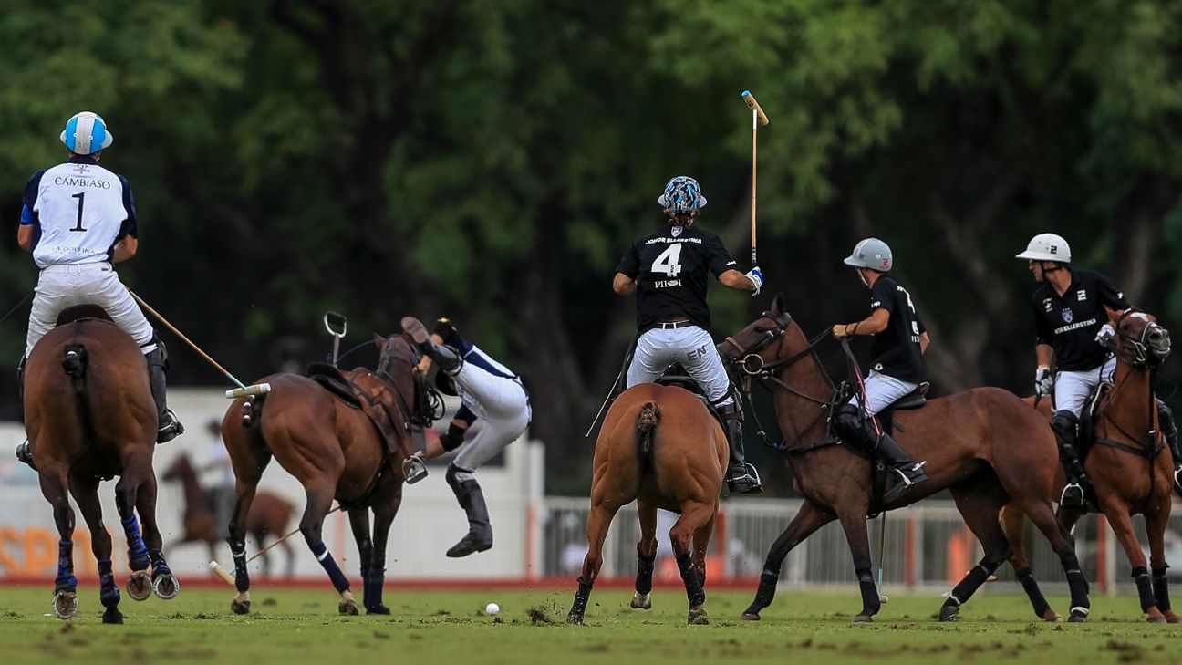 LA DOLFINA 16 - 12 ELLERSTINA