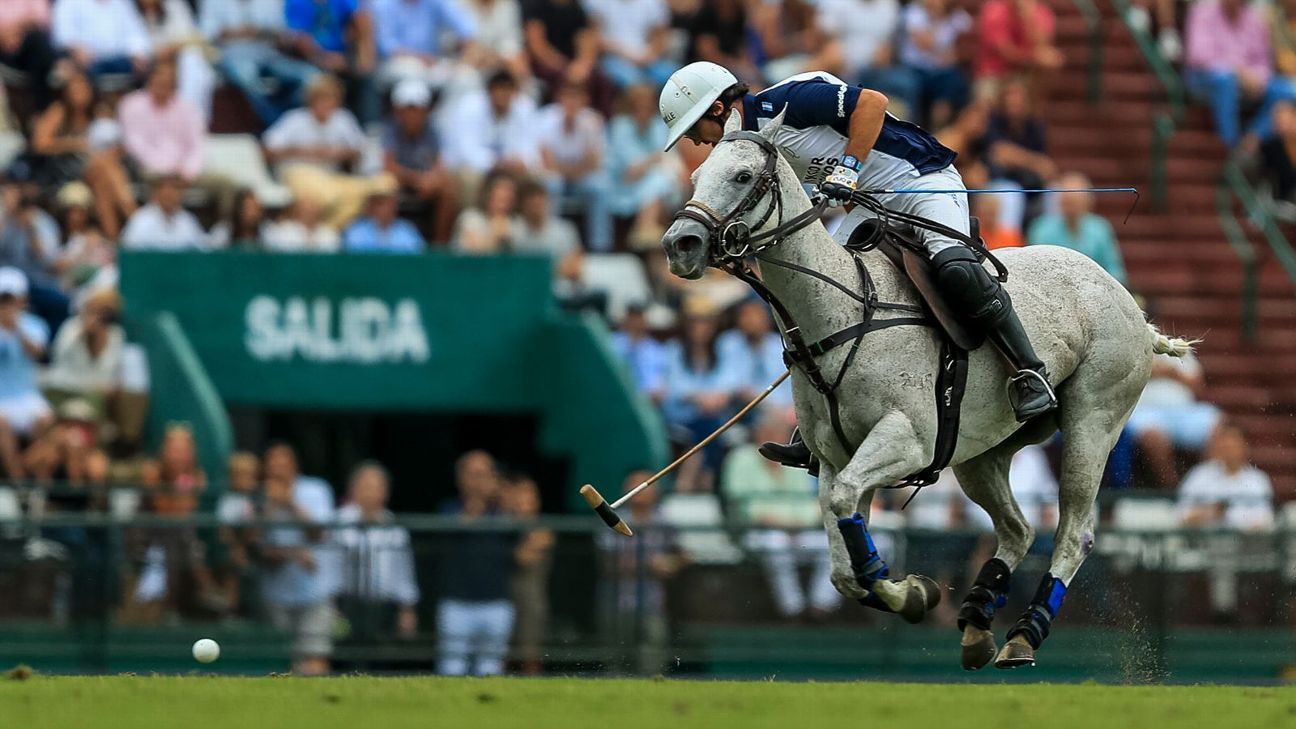 LA DOLFINA 16 - 12 ELLERSTINA