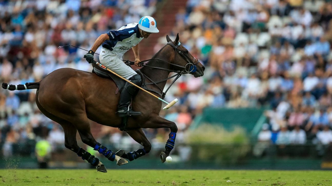 LA DOLFINA 16 - 12 ELLERSTINA