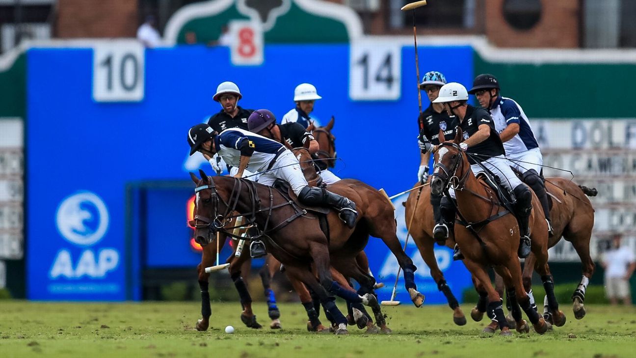 LA DOLFINA 16 - 12 ELLERSTINA
