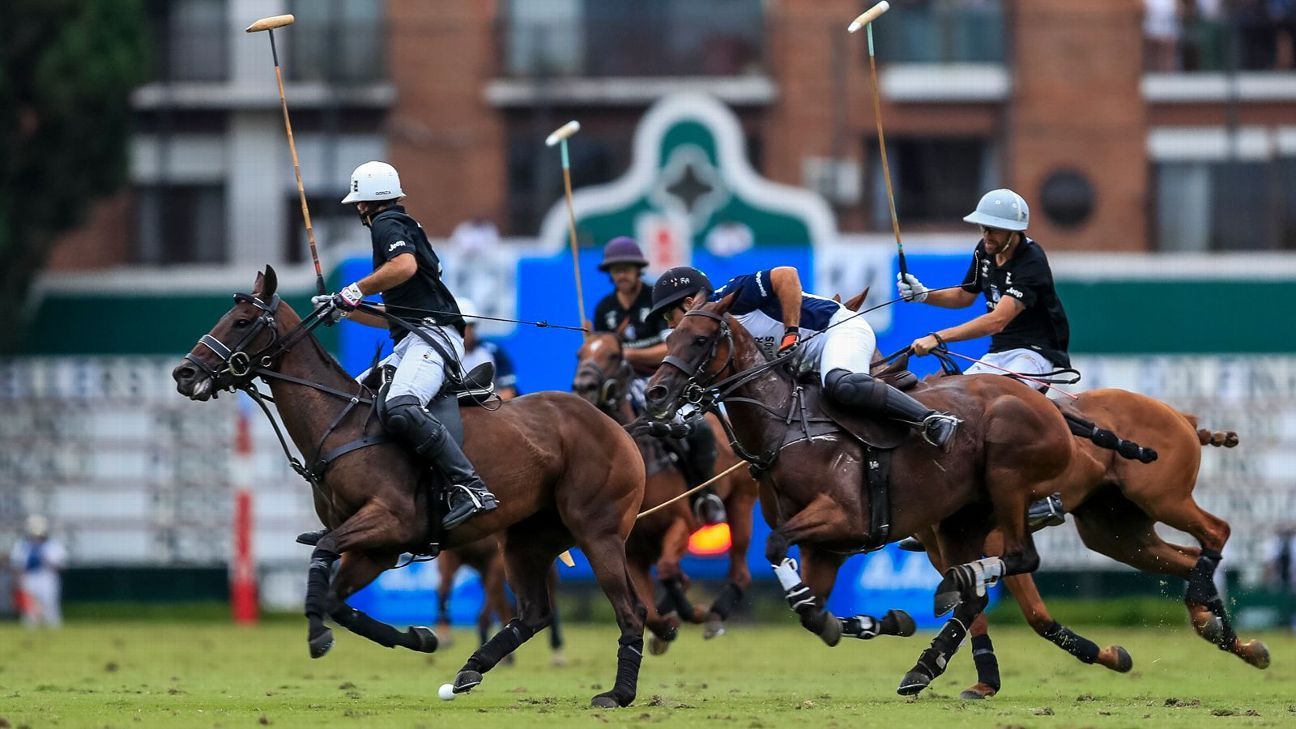 LA DOLFINA 16 - 12 ELLERSTINA