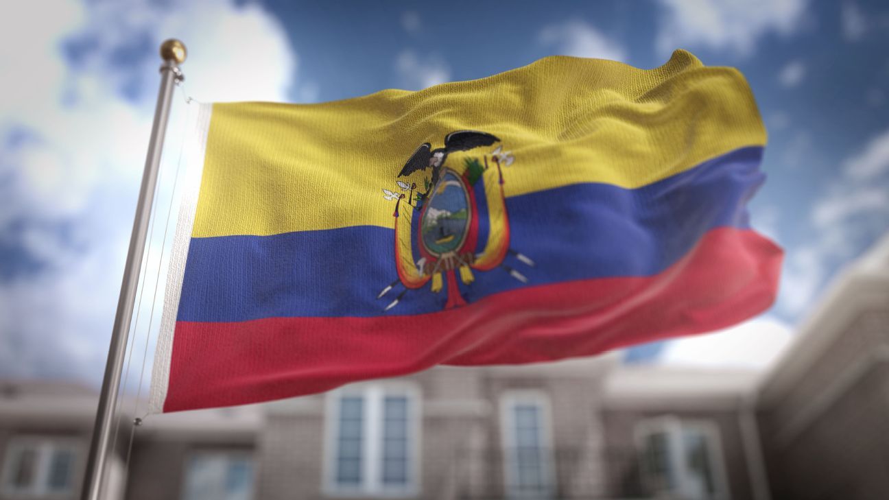 Embajada ecuatoriana asesora a Renato Ibarra