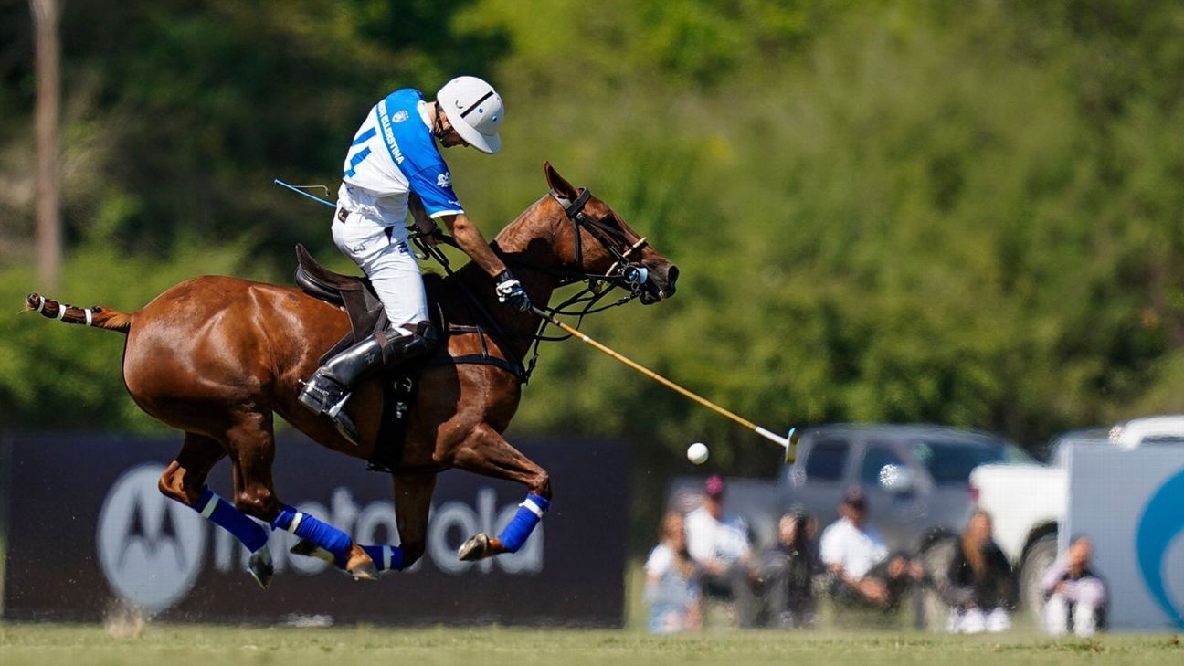Ellerstina 23 - 7 Alegr�a