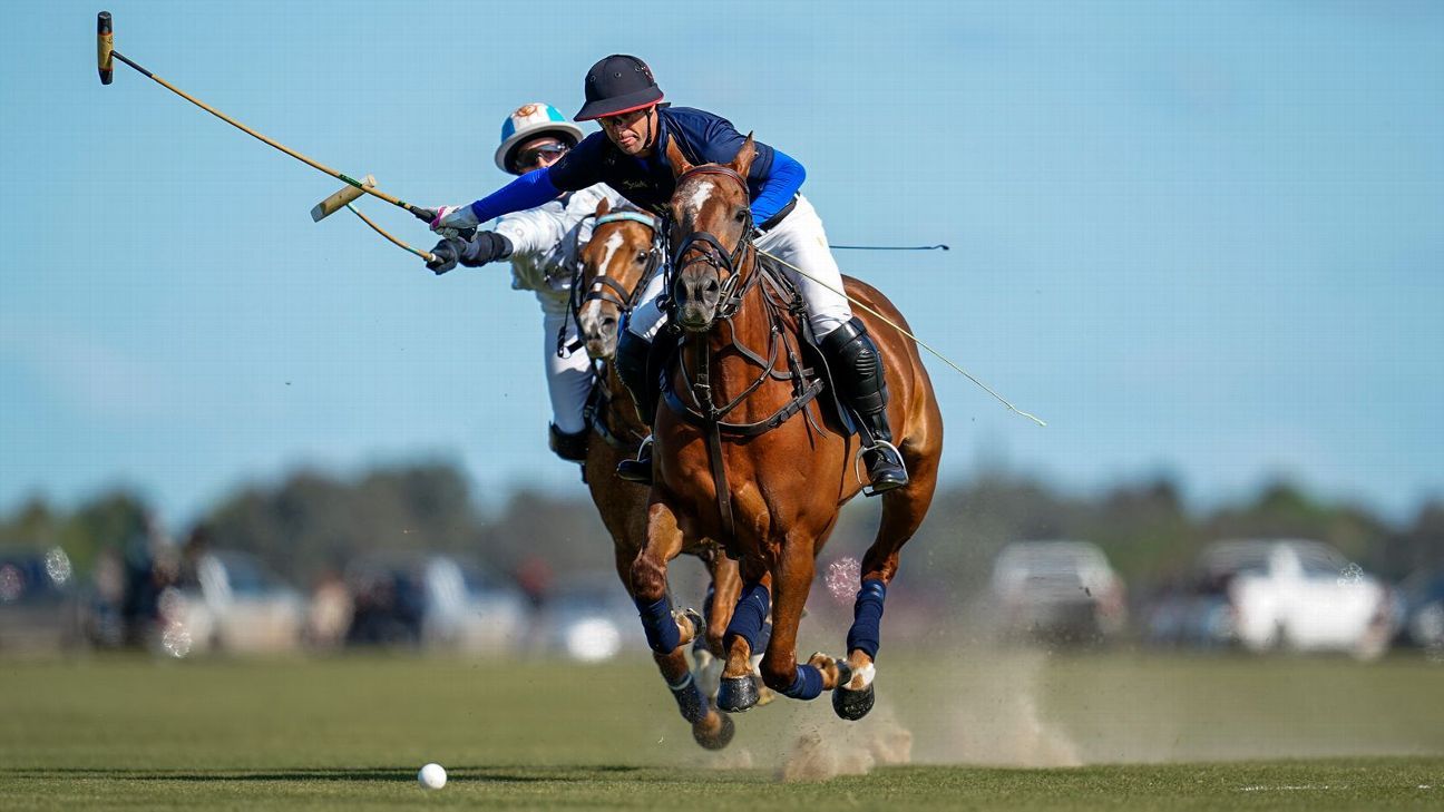 LA DOLFINA 15 - 8 LA DOLFINA BRAVA