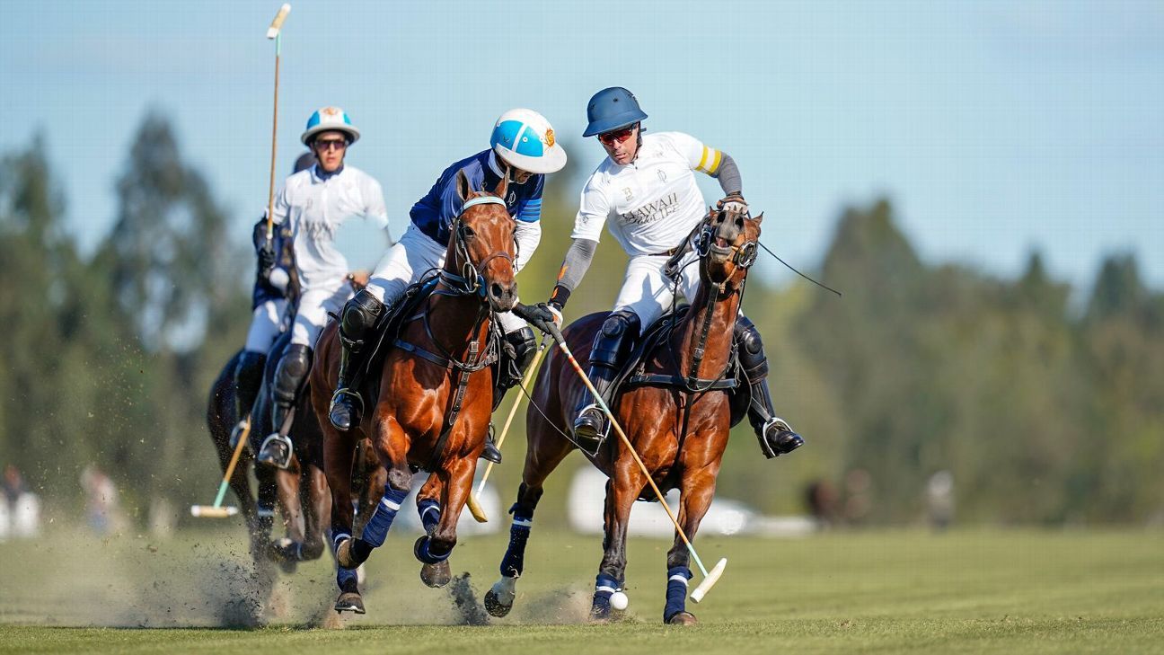 LA DOLFINA 15 - 8 LA DOLFINA BRAVA