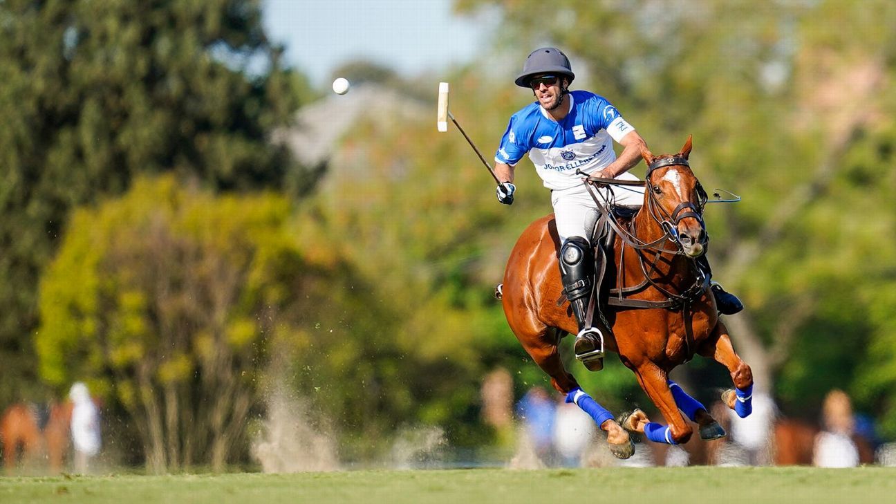 ELLERSTINA 12 - 8 LA ENSENADA