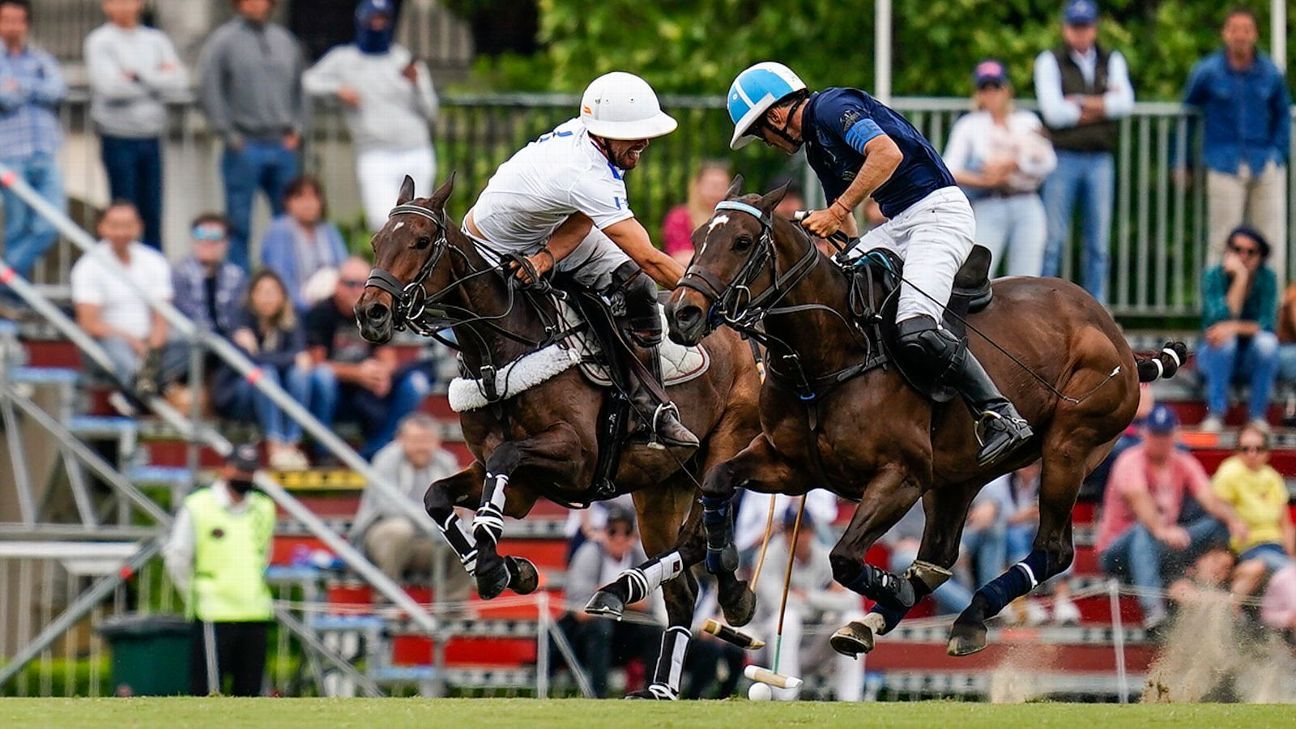 LA DOLFINA 11 - 10 RS MURUS SANCTUS