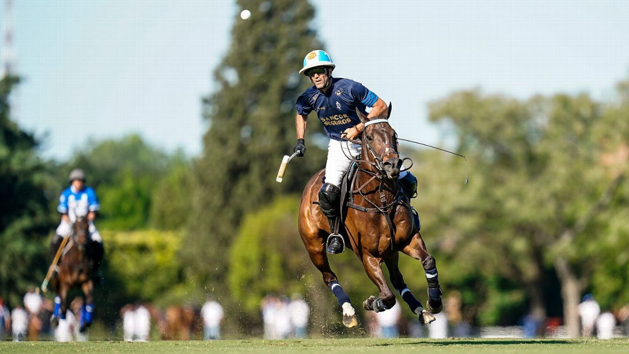 ELLERSTINA 11 - 9 LA DOLFINA