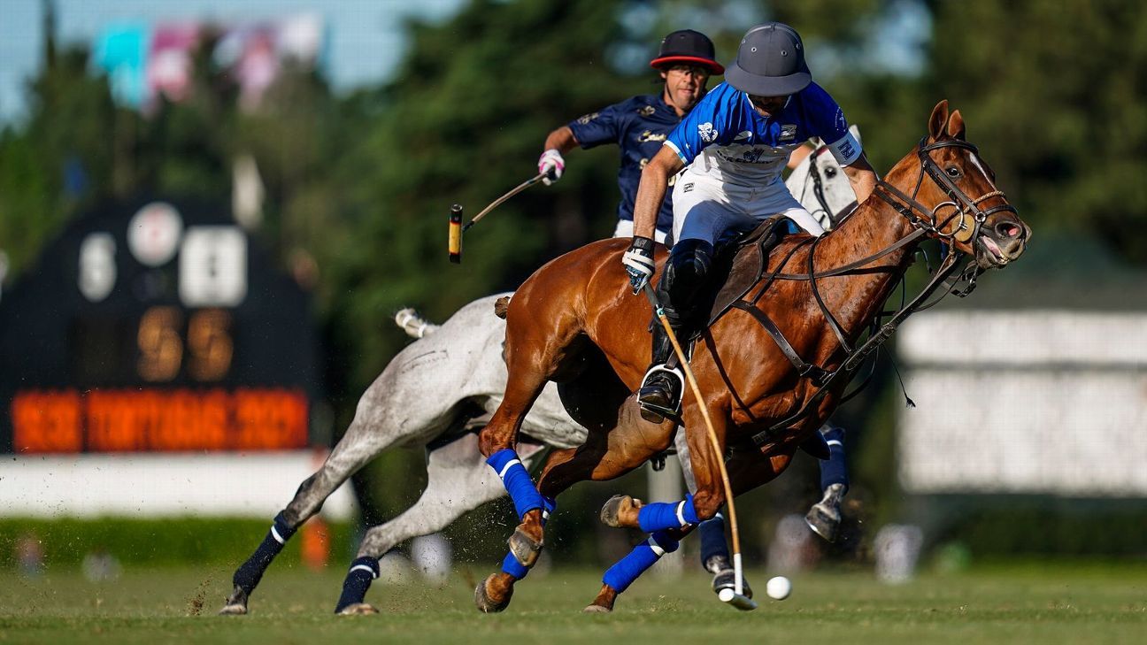 ELLERSTINA 11 - 9 LA DOLFINA
