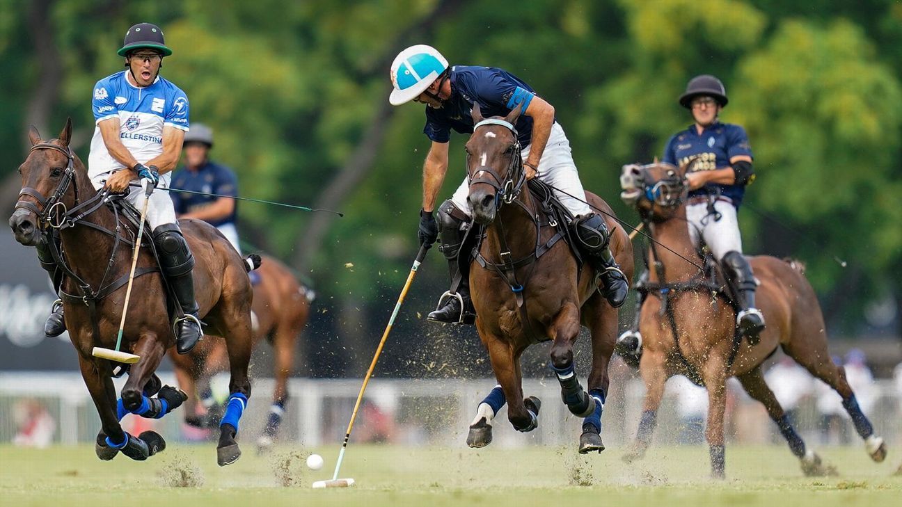 LA DOLFINA 16 - 14 ELLERSTINA