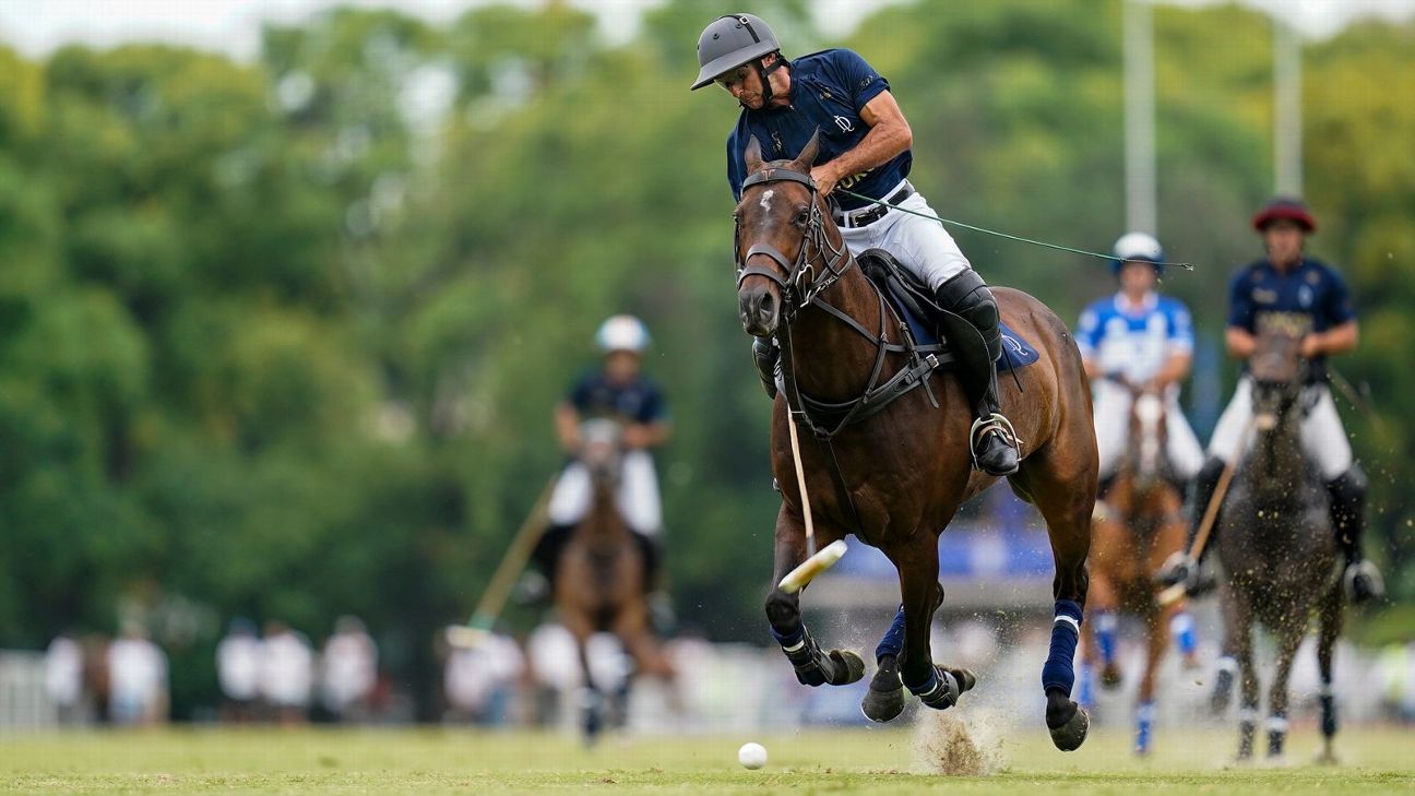 LA DOLFINA 16 - 14 ELLERSTINA