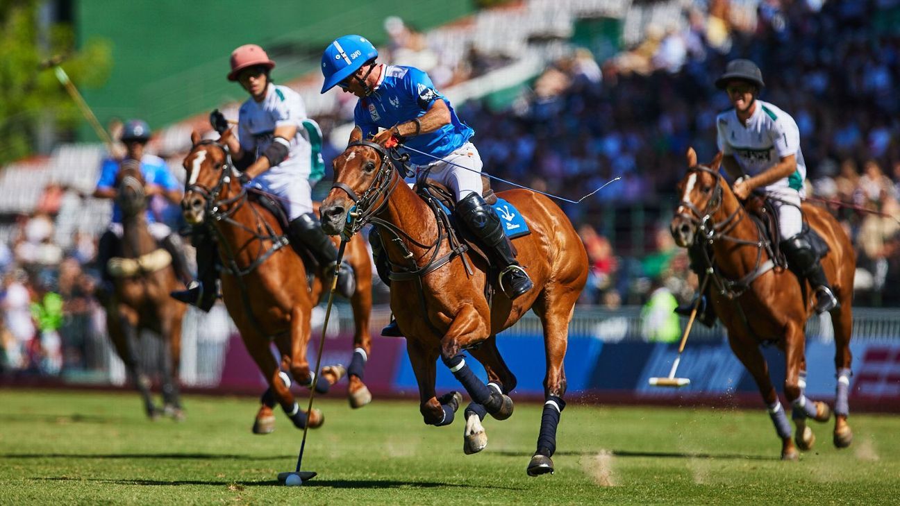 LA ENSENADA RS MURUS SANCTUS 19 v 12 LA HACHE