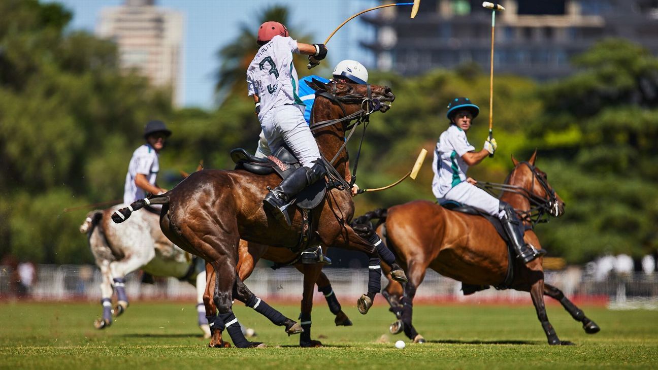 LA ENSENADA RS MURUS SANCTUS 19 v 12 LA HACHE