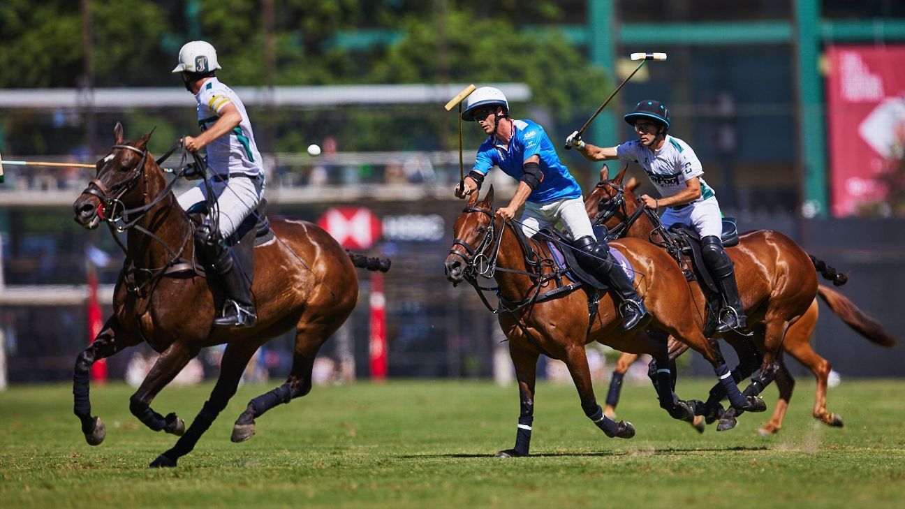 LA ENSENADA RS MURUS SANCTUS 19 v 12 LA HACHE