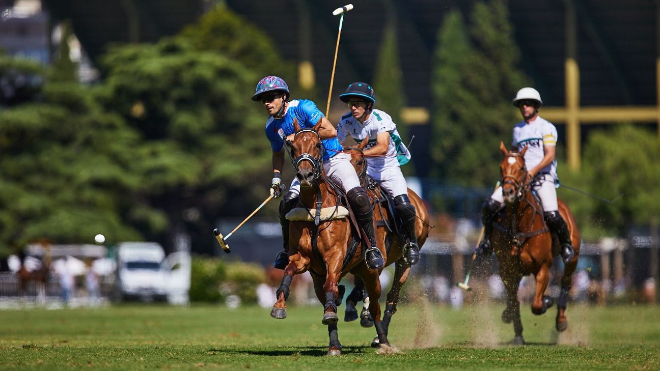 LA ENSENADA RS MURUS SANCTUS 19 v 12 LA HACHE