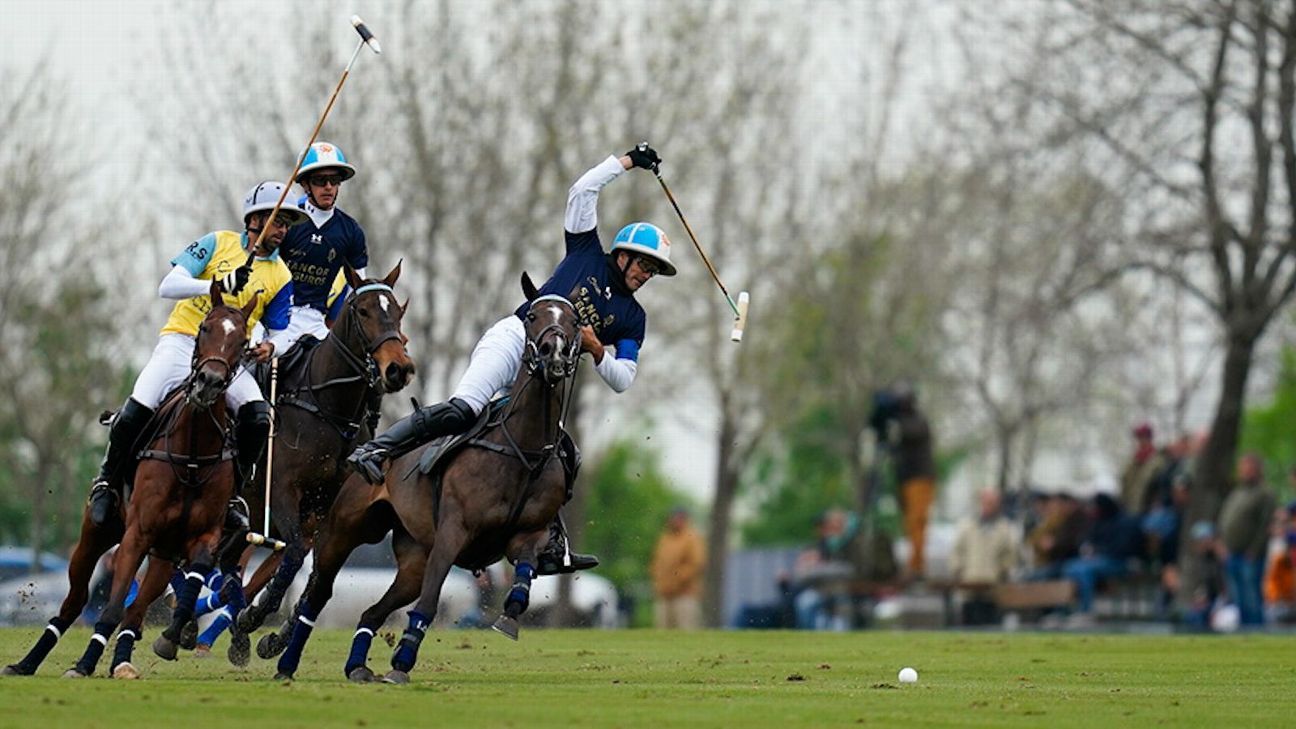 LA DOLFINA 22 v 5 LA IRENITA