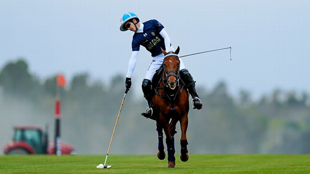 LA DOLFINA 22 v 5 LA IRENITA