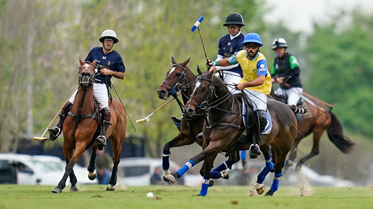 LA DOLFINA 22 v 5 LA IRENITA