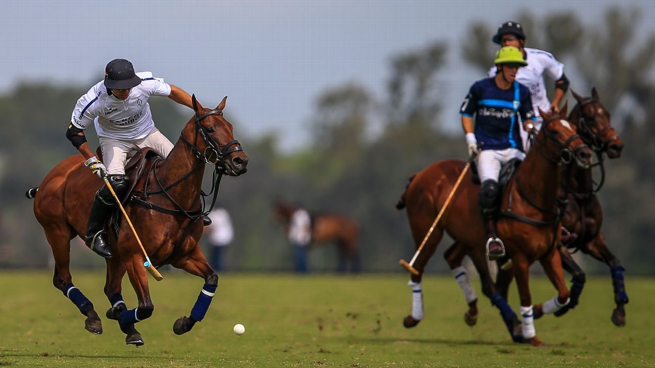 LA DOLFINA POLO RANCH 14  LA ESQUINA 6
