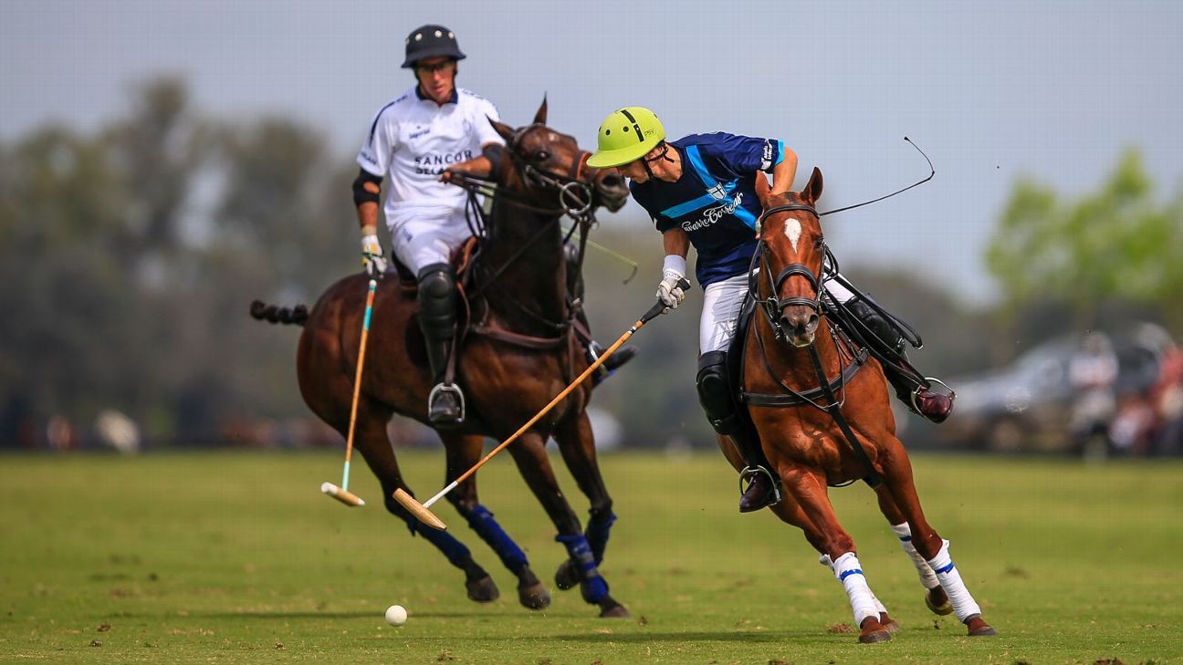 LA DOLFINA POLO RANCH 14  LA ESQUINA 6