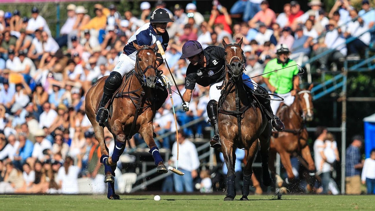 LA DOLFINA 11  ELLERSTINA 9