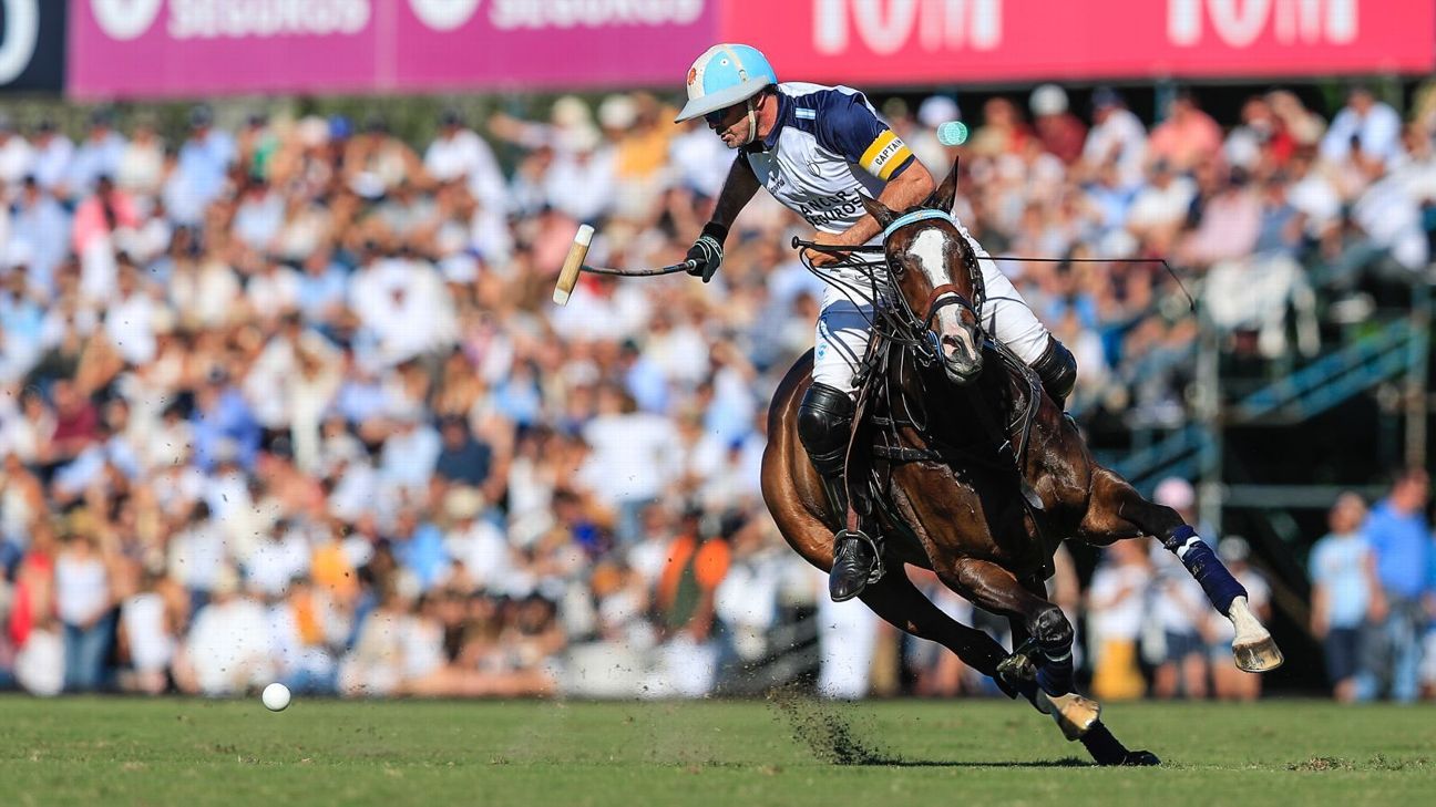 LA DOLFINA 11  ELLERSTINA 9