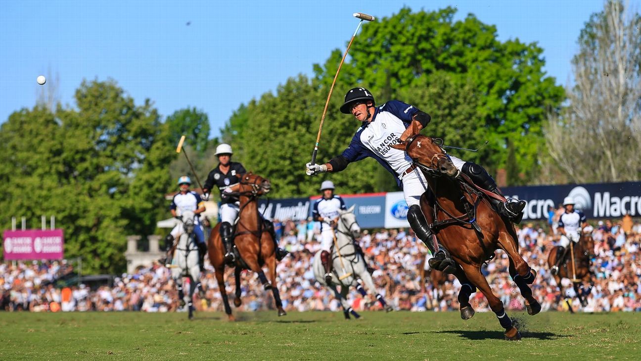 LA DOLFINA 11  ELLERSTINA 9