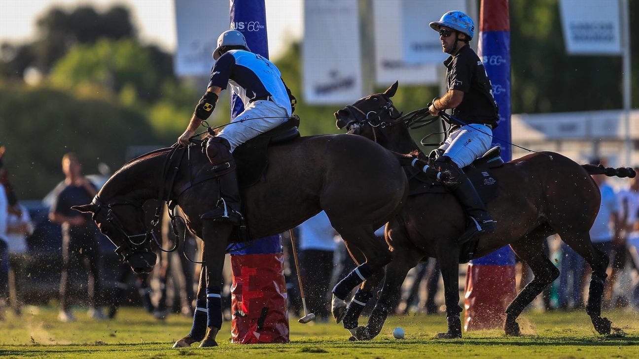 ELLERSTINA 12  LA DOLFINA 11