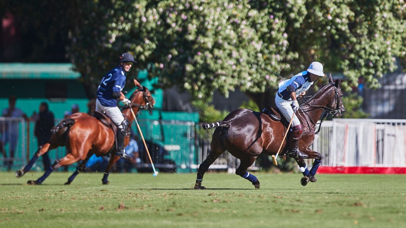 LA DOLFINA SANCOR SEGUROS 15  11 LA DOLFINA POLO RANCH