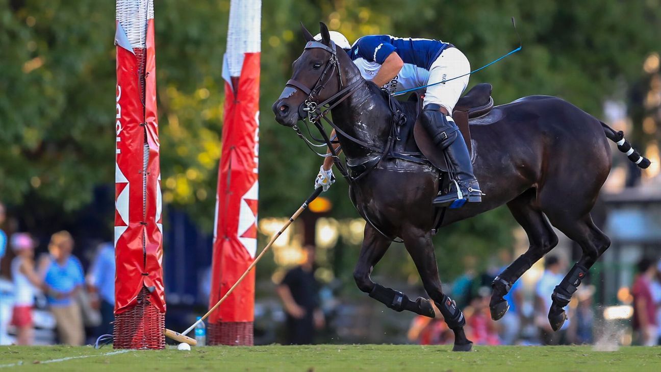 La Dolfina 17 vs. Las Monjitas 12